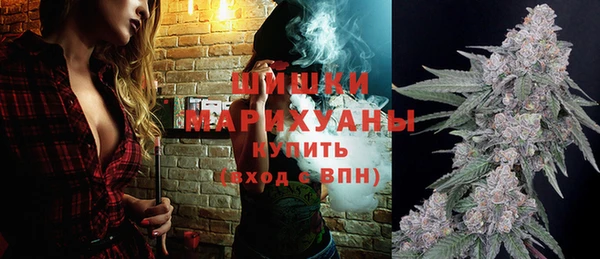 крисы Верея