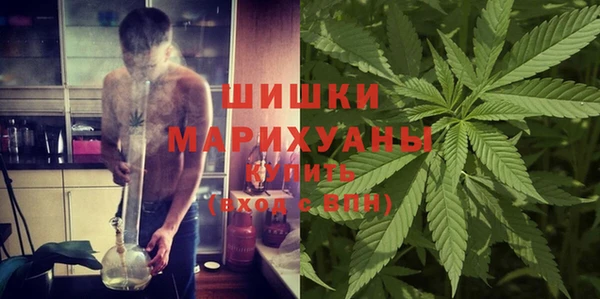 крисы Верея