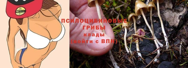 крисы Верея