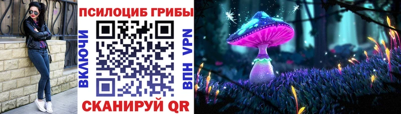 Псилоцибиновые грибы мухоморы  MEGA зеркало  Каменногорск 